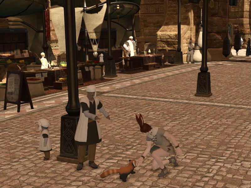 Moon miqo’te with her ice staff